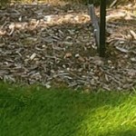banner-news
