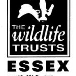 757b505cfd34c64c85ca5b5690ee5293_essex_wildlife_trust_logo