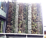 living-wall-1