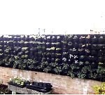 living-wall-4-1