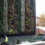 middx-uni-green-wall-1