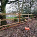 PHOTO-2020-02-18-19-24-46 (1)