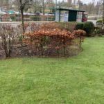 PHOTO-2020-02-19-11-34-43 (1)