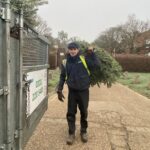 David&tree