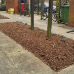 Planting 3